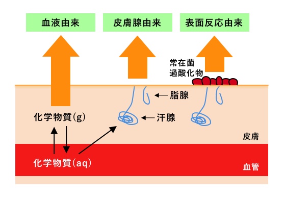 スメルハラスメントとは 問題化する事例や職場トラブルへの対策 注意方法まとめ カオナビ人事用語集