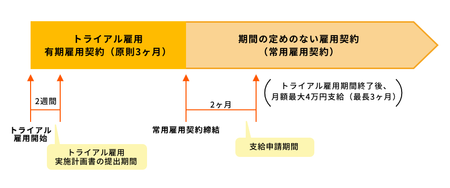 トライアル 雇用