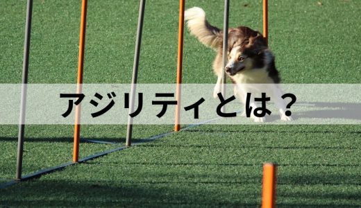 アジリティ(Agility)とは｜高め方、ビジネスでの活かし方