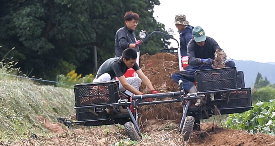 株式会社くしまアオイファーム